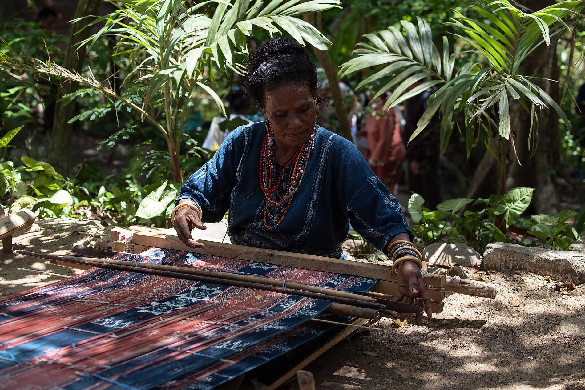 Odyssée tropicale entre Indonésie et nord-est Australien 